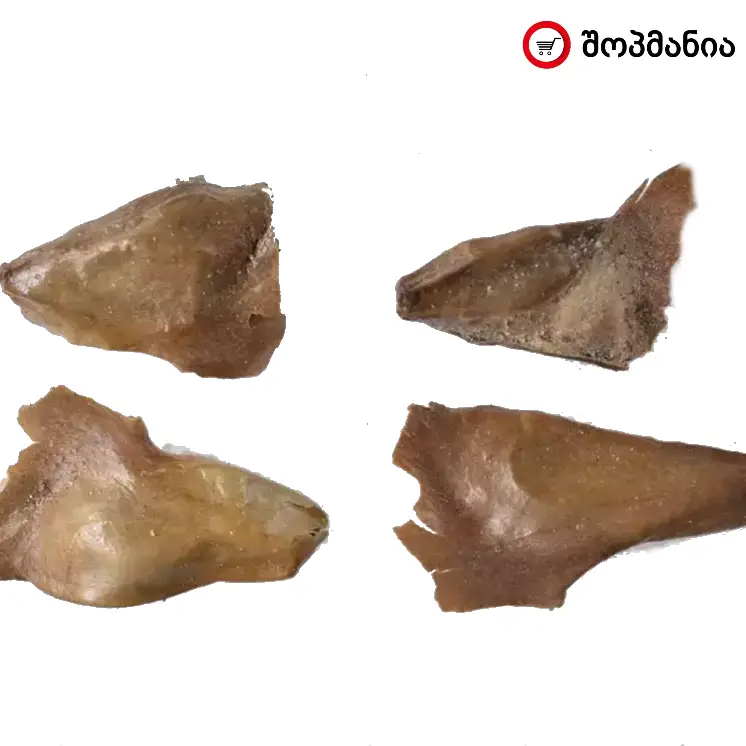 კავკასიური სოჭის თესლი (Caucasian Fir Ambrolauri) 3